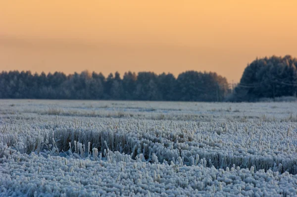 Inverno — Fotografia de Stock