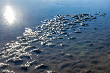 kuma yükselince çizim