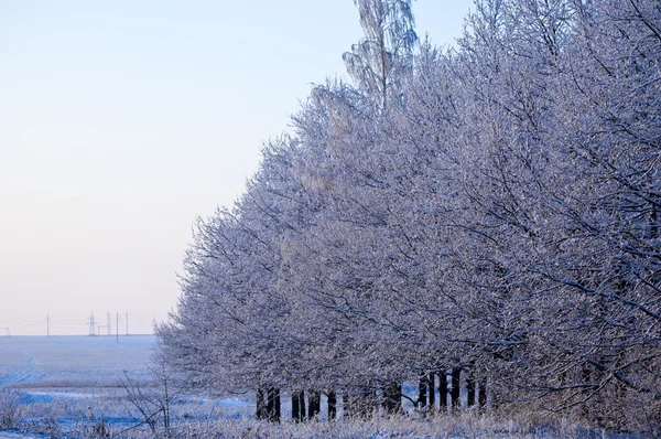 Vinter — Stockfoto