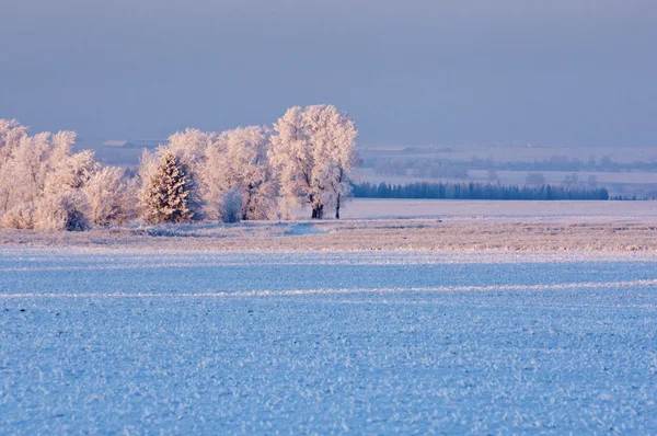 Invierno — Foto de Stock