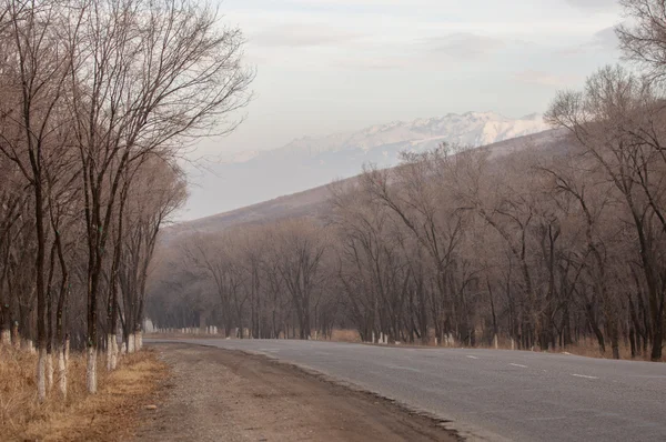 Country road — Stock Photo, Image