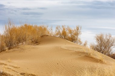 Bozkır Sonbahar geldi