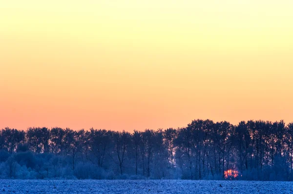 Pôr-do-sol — Fotografia de Stock