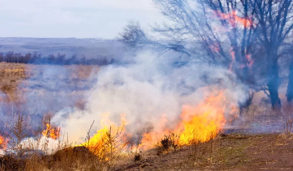 Fuoco fuoco ardente — Foto Stock