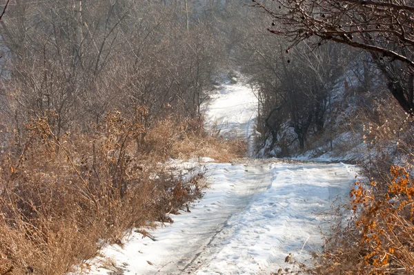 Ülke Yolu — Stok fotoğraf