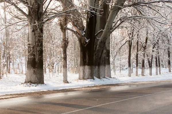 Ülke Yolu — Stok fotoğraf