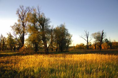 gündoğumu günbatımı