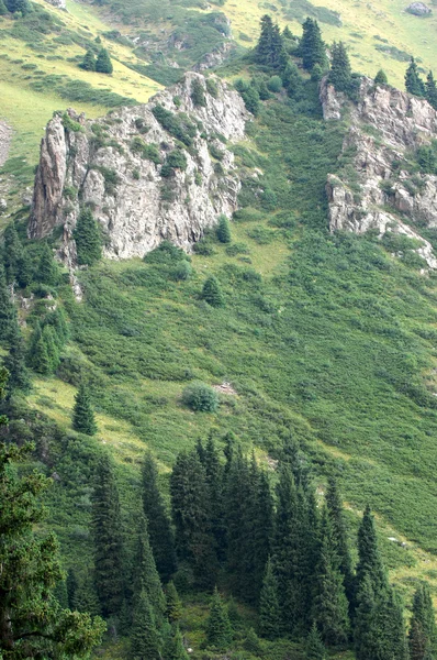 Berge — Stockfoto