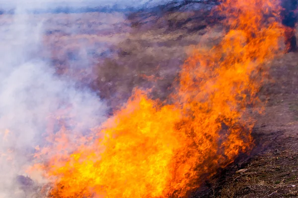 Fire burning fire — Stock Photo, Image