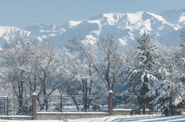 Park