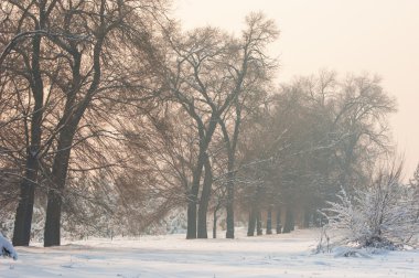Kış frost günbatımı