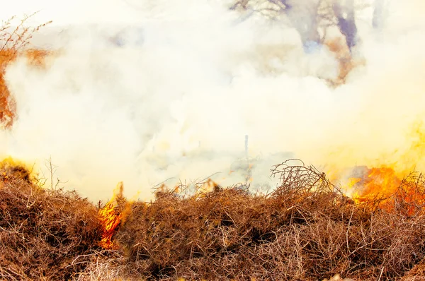 Elden brinnande eld — Stockfoto