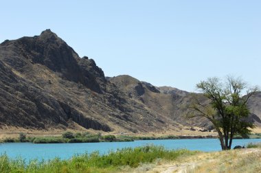 nehir Kazakistan