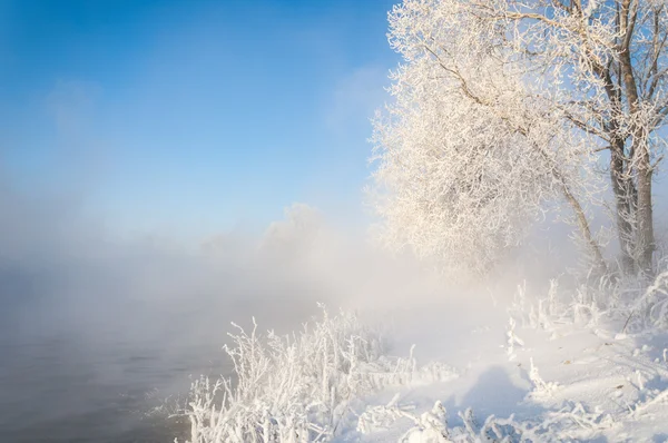 Rzeka zima — Zdjęcie stockowe