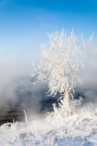 Flod vinter - Stock-foto