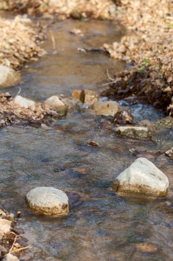 Spring Creek