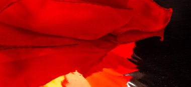 Kırmızı ipek kumaş, yakut rengi ipek kumaş, doku arka planı, makro. Soyut tasarım. şablon