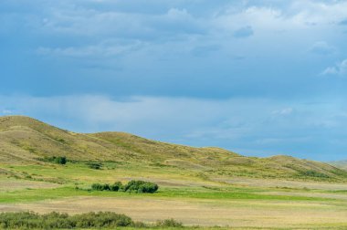 Bozkır, çayır, veld, veld otların hakim olduğu düz bereketli topraklardır. Çayır otları toprağı sıkıca tutar bu yüzden erozyon çok azdır. Büyük düzlükler. Kazakistan Büyük Steppe