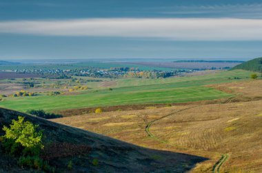 Sonbahar yaprak döken orman sonbaharı yılın harika bir zamanıdır. Doku renkleri ve yumuşak ışık göz alıcı fotoğraflar için harika bir palet oluşturur. Renkli sezonun tadını çıkar.