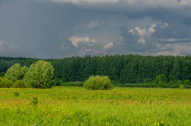 Yaz manzarası, gök gürültülü bulutlar, mavi gökyüzü, sel basmış çayır tarlaları, yaz renklerinin kokusu ve çeşitli kır çiçekleri.