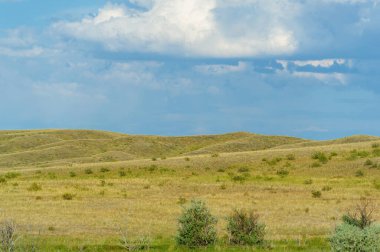 Bozkır, çayır, veld, veld otların hakim olduğu düz bereketli topraklardır. Çayır otları toprağı sıkıca tutar bu yüzden erozyon çok azdır. Büyük düzlükler. Kazakistan Büyük Steppe