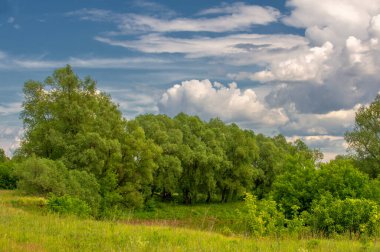 Yaz manzarası, gök gürültülü bulutlar, mavi gökyüzü, sel basmış çayır tarlaları, yaz renklerinin kokusu ve çeşitli kır çiçekleri.