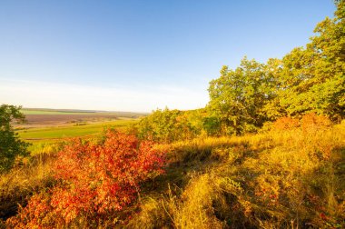 Sonbahar manzarası, yaprak döken orman. Sonbahar fotoğraf galerimiz birçok alandan güzel sonbahar renklerini sergileyen manzaralarla doludur.