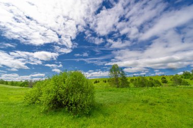 Bahar fotoğrafçılığı, çayırlar, tarlalar, vadiler, tepeler, kırsal alanlar. Dik yamaçlı, derin ve dar bir vadi. Doğal olarak yükseltilmiş bir arazi, bir dağ kadar yüksek ya da sarp değil.