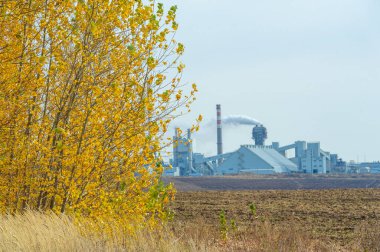 Sonbahar bir değişim zamanıdır. Bitkilerin ve hayvanların yaklaşan kışın soğuğuna ve karanlığına hazırlandıkları zaman. Geceler gelip, hava serinlediğinde