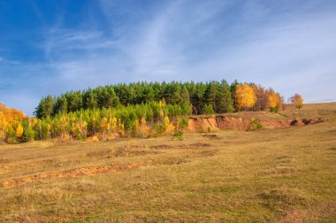 Sonbahar manzara fotoğrafçılığı, en iyi fotoğrafçı, sonbahar durumundaki karışık ormanlar, renkli yapraklar, bordo, kırmızı, yeşil, desenli halı.