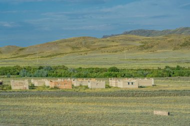 Bozkır, çayır, veld, veld otların hakim olduğu düz bereketli topraklardır. Çayır otları toprağı sıkıca tutar bu yüzden erozyon çok azdır. Büyük düzlükler. Kazakistan Büyük Steppe