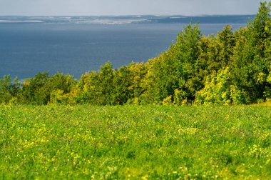Yaz manzarası. Dünyanın Avrupa bölgesindeki bir nehir. Güneşli sıcak bir gün. Yeşil ağaçlar, çimenler. Mavi gökyüzü küçük bir bulut örtüsüyle.