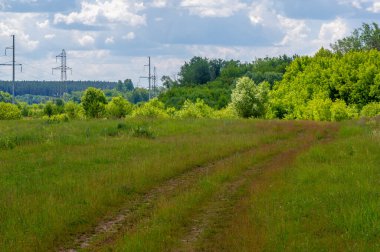 Yaz manzarası, gök gürültülü bulutlar, mavi gökyüzü, sel basmış çayır tarlaları, yaz renklerinin kokusu ve çeşitli kır çiçekleri.