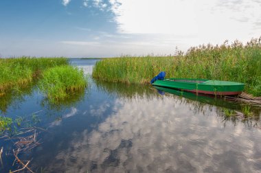 Yaz manzarası. Dünyanın Avrupa bölgesindeki bir nehir. Güneşli sıcak bir gün. Yeşil ağaçlar, çimenler. Mavi gökyüzü küçük bir bulut örtüsüyle.