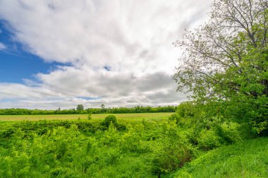 Bahar fotoğrafçılığı, çayırlar, tarlalar, vadiler, kırsal alanlar. Dik yamaçlı, derin ve dar bir vadi. Doğal olarak yükseltilmiş bir arazi, bir dağ kadar yüksek ya da sarp değil..