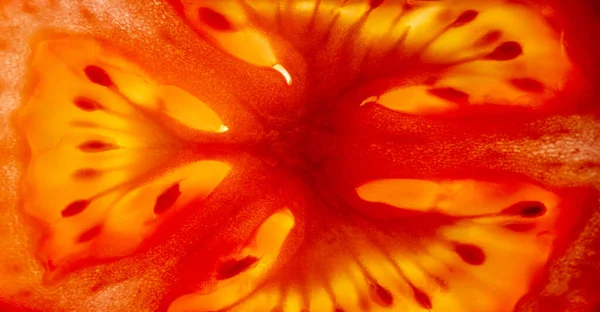 Помидор Является Съедобной Часто Красной Ягодой Растения Solanum Lycopersicum Широко — стоковое фото