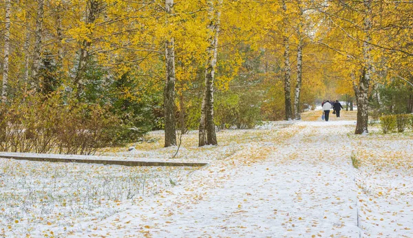 Sezonun Ilk Karı Kışın Şekerle Toz Almak Için Sonbaharda Geldi — Stok fotoğraf