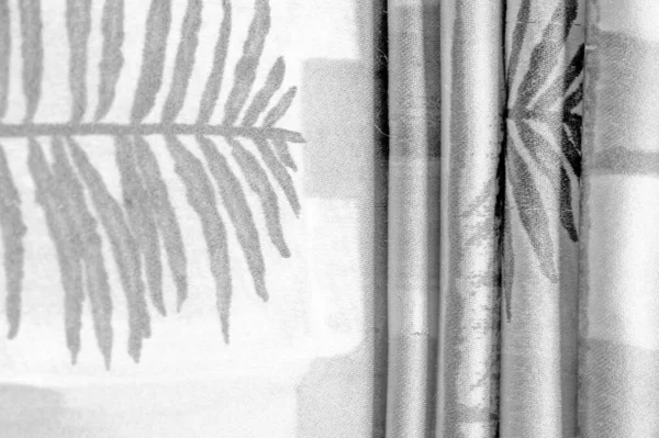 추상적 패턴을 흑백의 직물이죠 식물의 가지를 프린트한 것이죠 텍스처 그라운드 — 스톡 사진