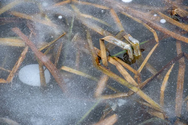 Winterlandschaft Eis Auf Der Quelle Gefrorenes Wasser Ein Brüchiger Transparenter — Stockfoto