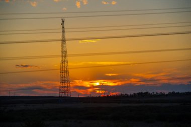Çayır, veld, ormansız bozkır, nemli ve kurak iklim bölgesinde bitkisel hayata sahip. Çayır bitkileri kalıcı yanıklara adapte olup güçlü yeraltı yapıları geliştirirler.