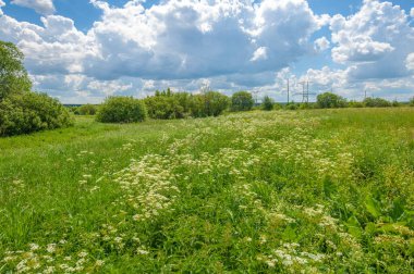 Yaz manzarası, gök gürültülü bulutlar, mavi gökyüzü, sel basmış çayır tarlaları, yaz renklerinin kokusu ve çeşitli kır çiçekleri.
