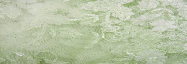 Dantel yumuşak yeşil. Doku. Geçmişi. şablon. Soluk yeşil çubuklu, eski dantelli ve salata sıralı soyut bir arka plan. Kartpostal, poster, doku veya duvar kağıdı olarak kullanılabilir