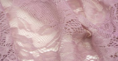 Somon pembe dantel. Dantelli aksesuarlar. Tasarımın için orijinal malzeme. İç çamaşırı materyali. Yaz çiçekli desen 3D nakış yumuşak polyester örgü örgü ören kadın giysisi