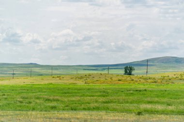Bozkır, çayır, veld, veld otların hakim olduğu düz bereketli topraklardır. Çayır otları toprağı sıkıca tutar bu yüzden erozyon çok azdır. Büyük düzlükler. Kazakistan Büyük Steppe