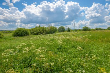 Yaz manzarası, gök gürültülü bulutlar, mavi gökyüzü, sel basmış çayır tarlaları, yaz renklerinin kokusu ve çeşitli kır çiçekleri.