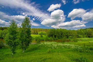 Yaz manzarası, kırsal alan, parlak yeşil çimenler ve ağaçlar, beyaz bulutlu mavi gökyüzü, harika yaz havası.