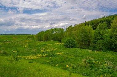 Yaz manzarası, kırsal alan, parlak yeşil çimenler ve ağaçlar, beyaz bulutlu mavi gökyüzü, harika yaz havası.