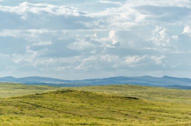 Çayır, veld, ormansız bozkır, nemli ve kurak iklim bölgesinde bitkisel hayata sahip. Çayır bitkileri kalıcı yanıklara adapte olup güçlü yeraltı yapıları geliştirirler.