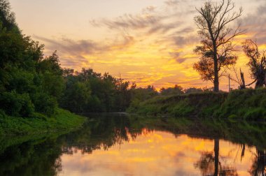 Yaz manzarası fotoğrafı, Şafak vakti gün batımı güzel boyalar gökyüzü, pastel gölgeler, batan güneşin gölgesindeki ağaçlar.
