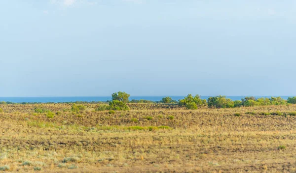 Çayırlık, bozkır ekosistemi, çayırlık, savana ve çalı biyologlarına göre, benzer ılıman bir iklime, ılımlı yağış ve çimen bileşimine dayanan bir çalı biyomu.,